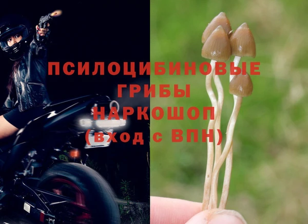 эйфоретик Алексин