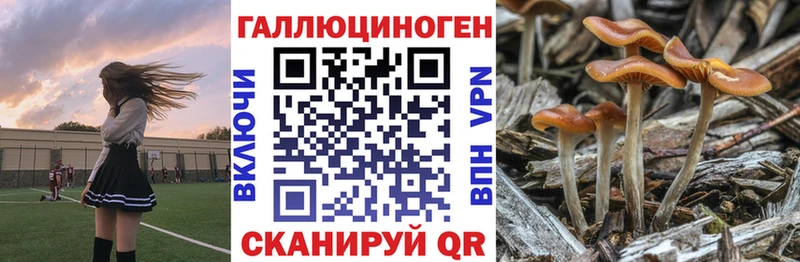 сколько стоит  Северская  Галлюциногенные грибы мухоморы 